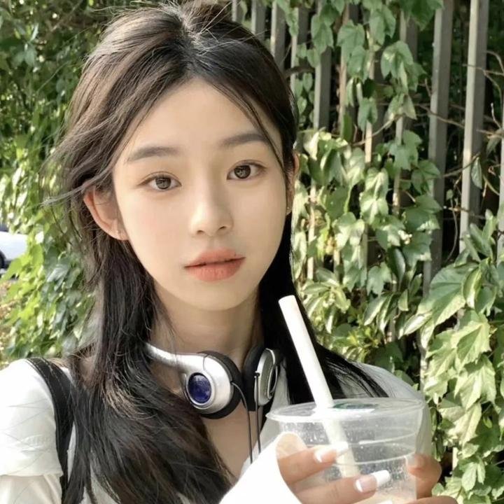 雪宝的佳节冒险